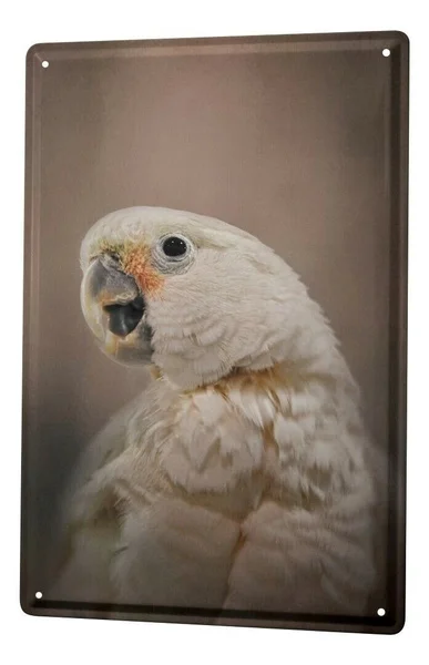 

Tin Sign Bird Parrot Coffee Bar Decoration Home Decor