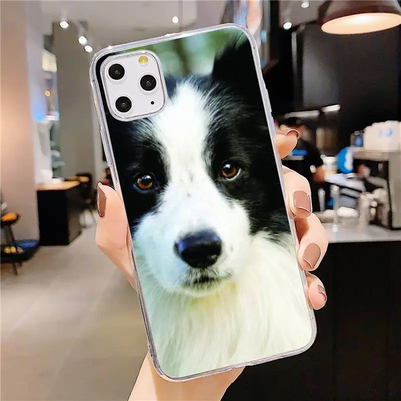 

Border Collie Dog Breed Phone Case Transparent soft For iphone 5 5s 5c se 6 6s 7 8 11 12 plus mini x xs xr pro max
