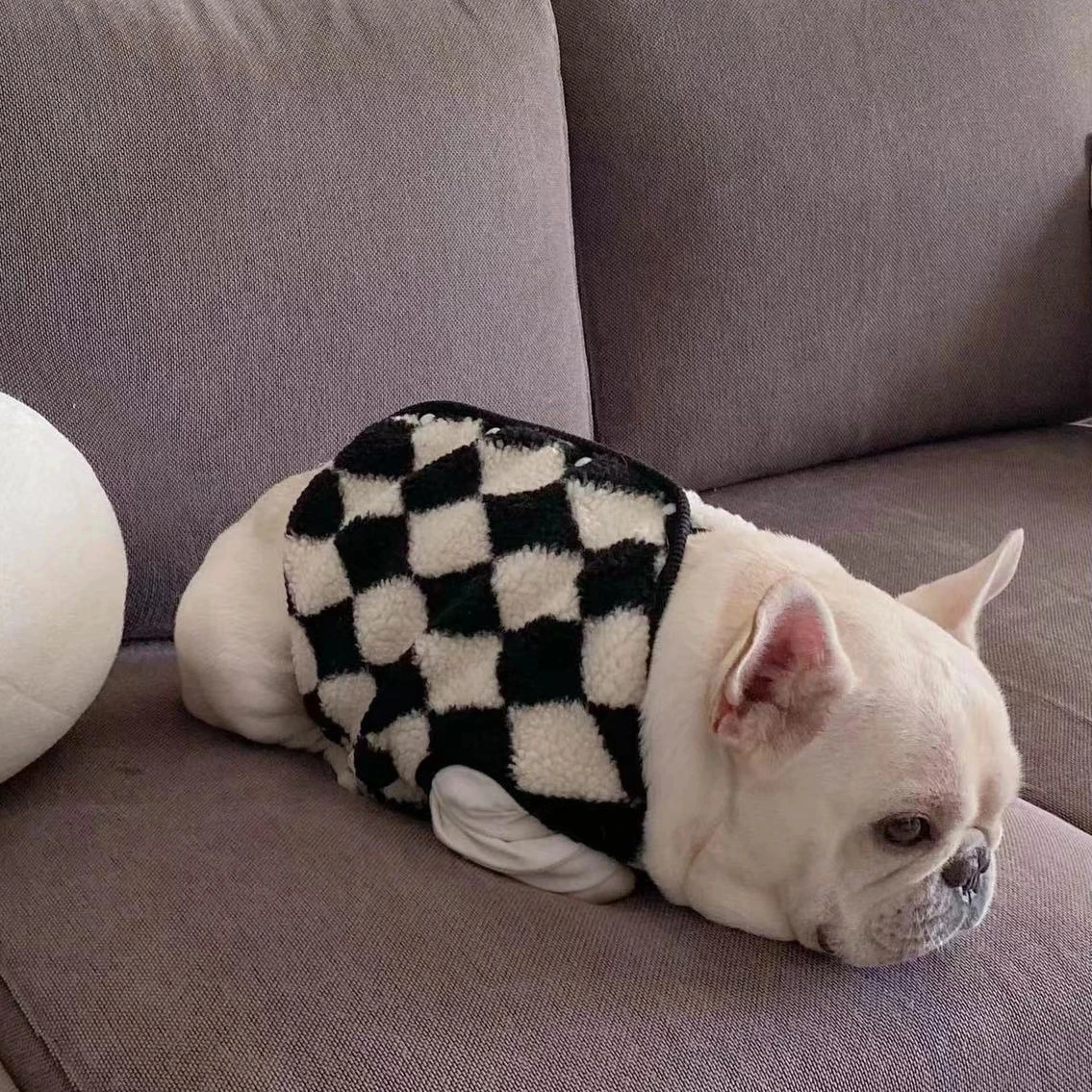 Зимнее пальто для домашних питомцев наряд щенков жилет одежда Йорка