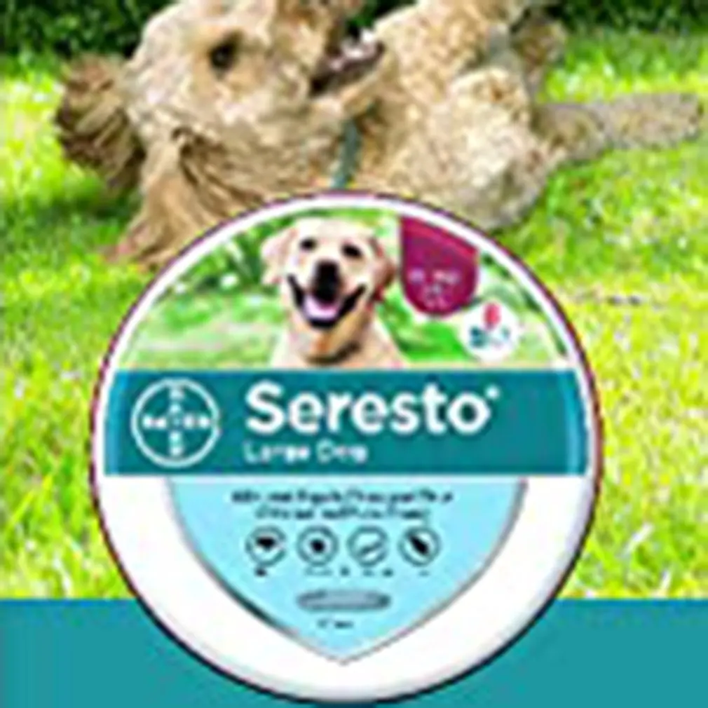 Портативный ошейник против блох и клещей для домашних питомцев 8 месяцев | Дом сад