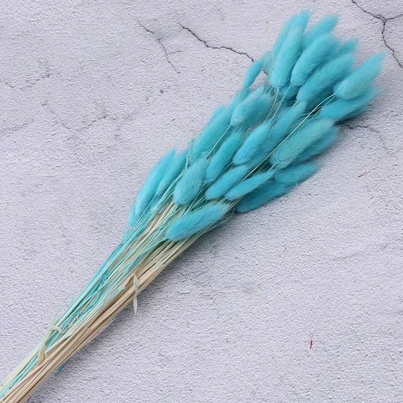 15 шт. декоративные сушеные цветы пампасная трава букет зайцехвостника травы Lagurus