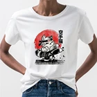 Футболка женская с рисунком енота, смешная крутая уличная одежда в стиле Харадзюку, топ с коротким рукавом и круглым вырезом, на лето