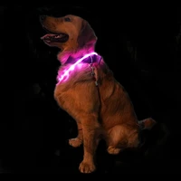 dog luminous collar usb charging collar cat teddy golden dog luminous collar dog walking lamp pet products