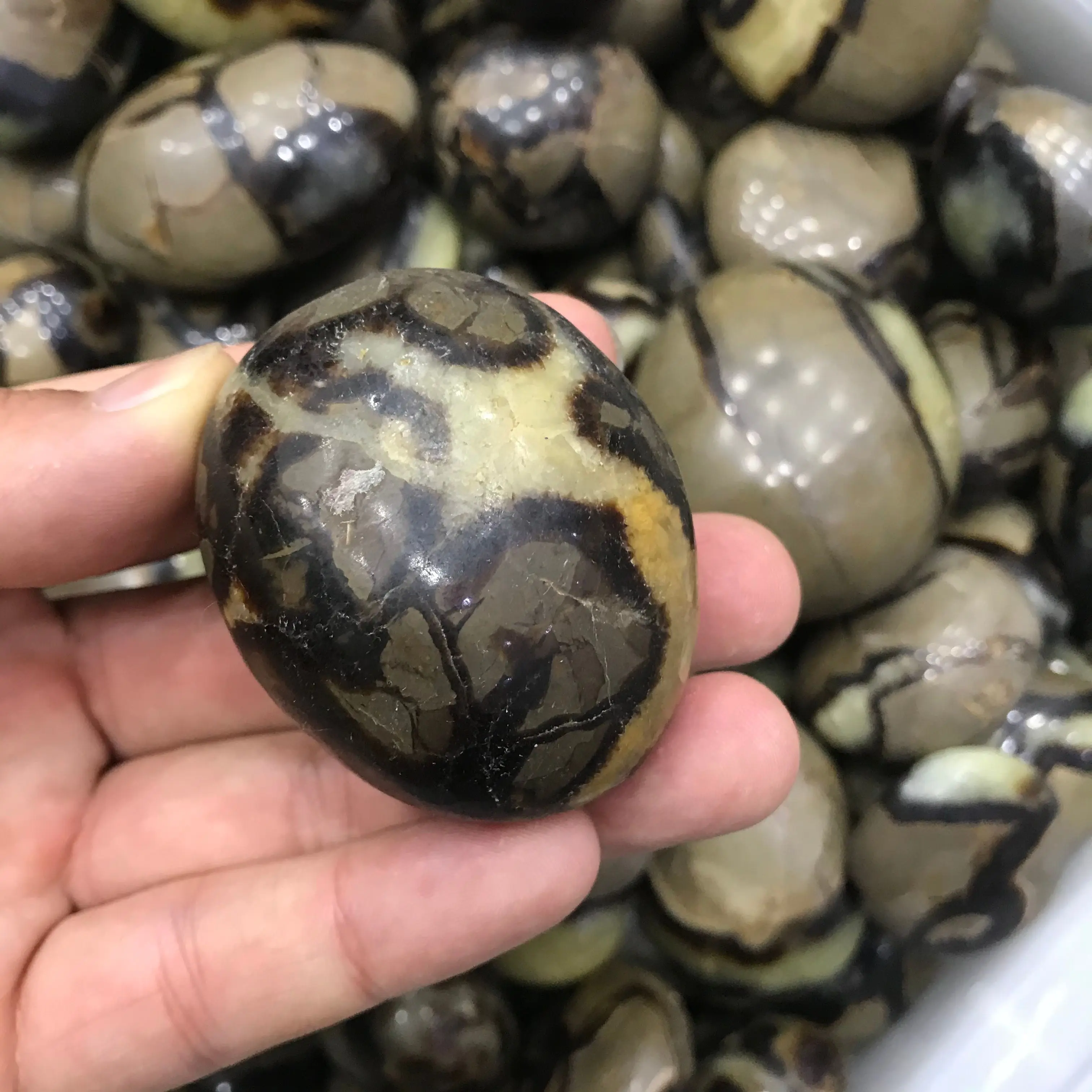 Камни для массажа пальм натуральные септарийные минеральные образцы целебный