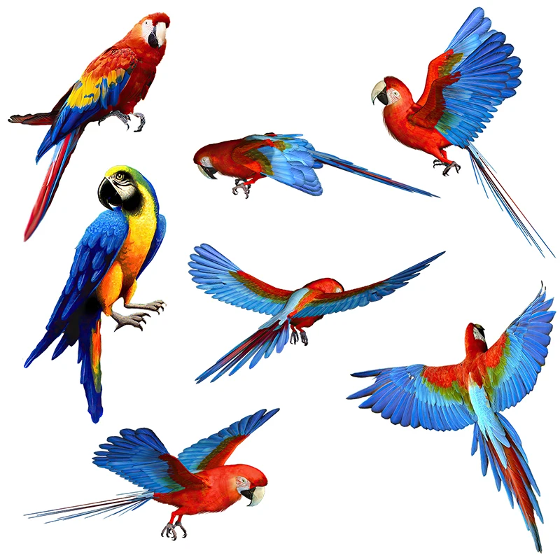 Three Ratels QD104 Beautiful parrot Wall Sticker Kids Room Decoration cute bird decal car body sticker