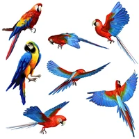 three ratels qd104 beautiful parrot wall sticker kids room decoration cute bird decal car body sticker