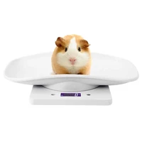 10kg1g digital small pet weight scale for cats dogs measure tool electronic kitchen scale body weight bathroom balance