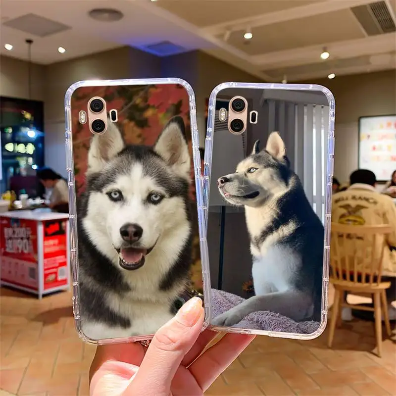 

Animal Husky cute Puppy Dog Phone Case For Samsung s7 s8 s9 s10 s20 s4 s5 s6 A51 A71 A21 plus lite ultra Cover Fundas Coque