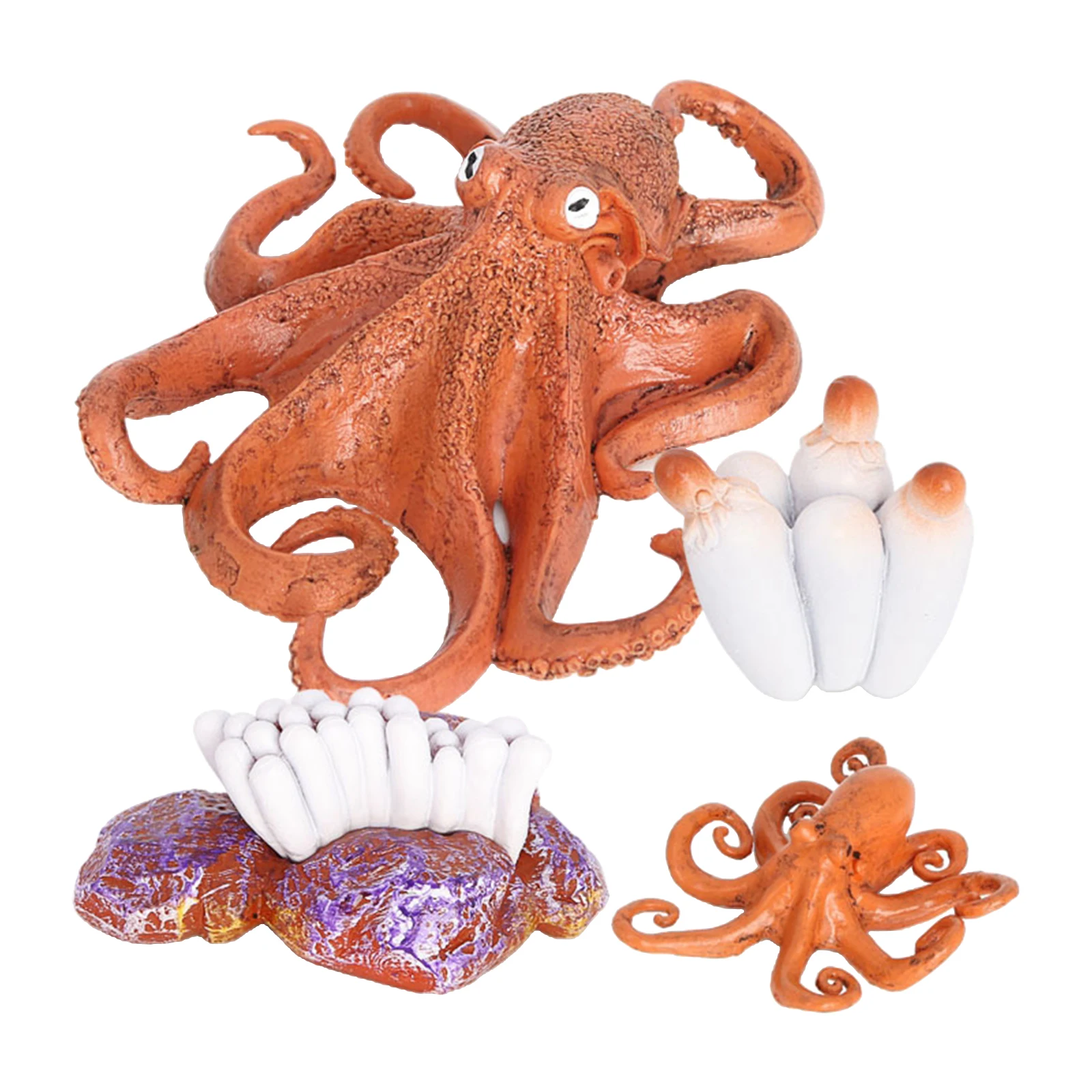 

Solid Plastic Life Cycle of Octopus Toy Animal Bug Growth Cycle Teaching Aid