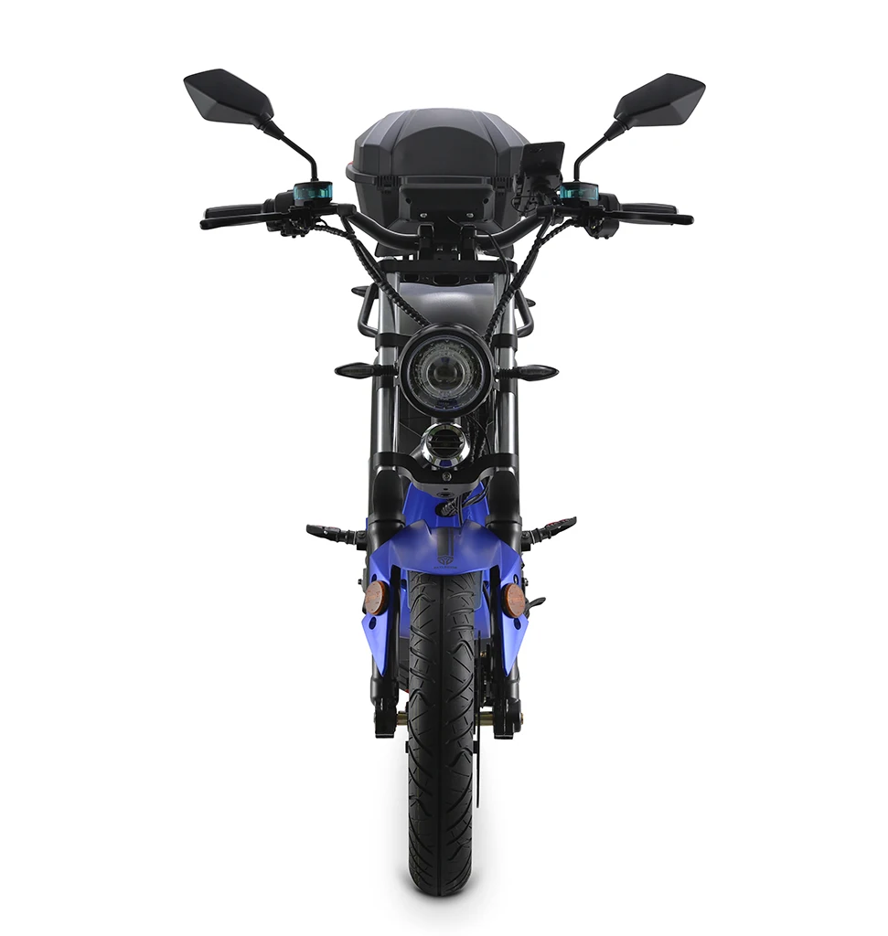 Online C1-030 6,0 Citycoco Elektrische Motorrad Roller Abnehmbare Batterie Elektrische Fahrzeug Road Gesetz EWG/COC 60V 38AH 4000W