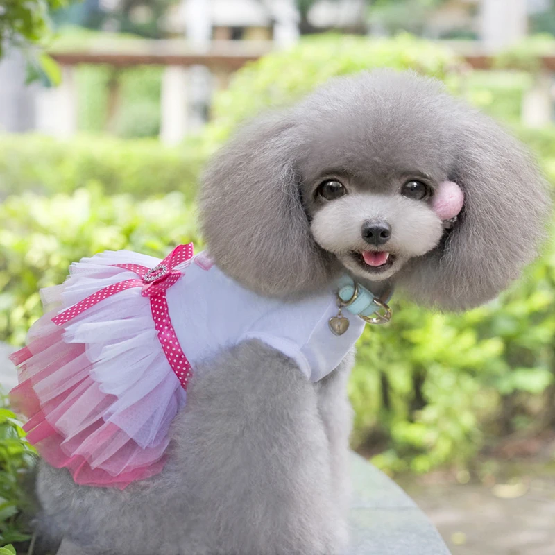 Новинка одежда для домашних животных платье собаки губы Милая Пряжа юбка