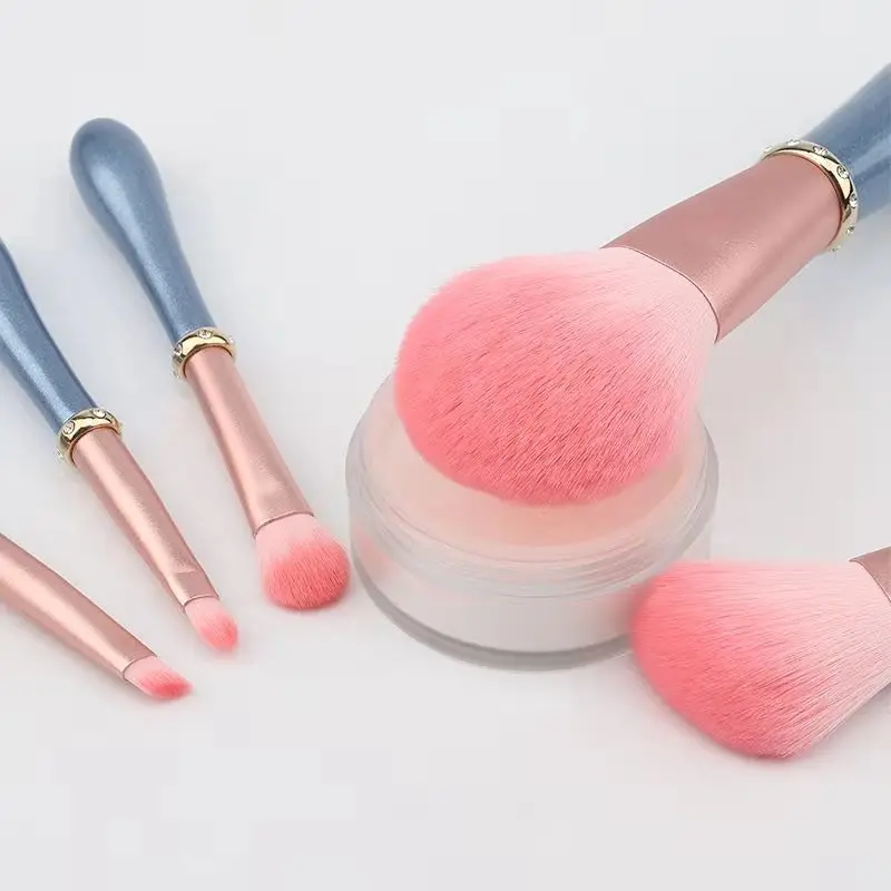 Новый Онлайн Принцесса Роза 5 шт Высокое качество Модный розовый цвет макияж