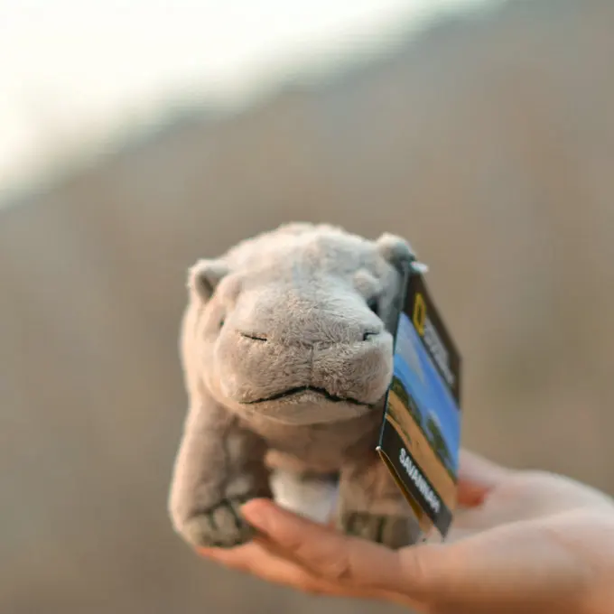 Настоящая жизнь плюшевые игрушки в стиле хиппотама мягкие игрушки-животные