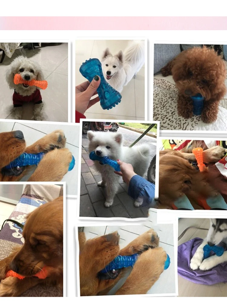 

Pet Squeaky Bones Toy TPR Molar Dog Toys Squeak Squeaker interactive Training for Small dogs Pets Toothbrushe Massage Toothpaste