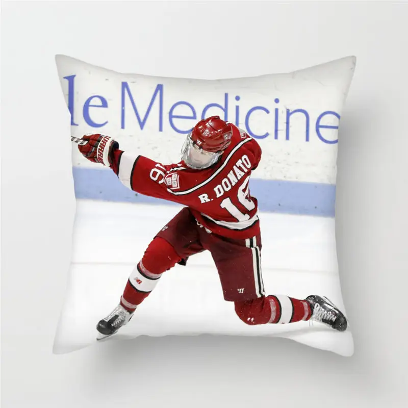 JJBZZZY0173 Fuwatacchi современный NHL спортивный чехол для подушки хоккейная наволочка для подушки домашний диван декоративные подушки для декора домашний стул наволочки - Цвет: JJBZZZY0173