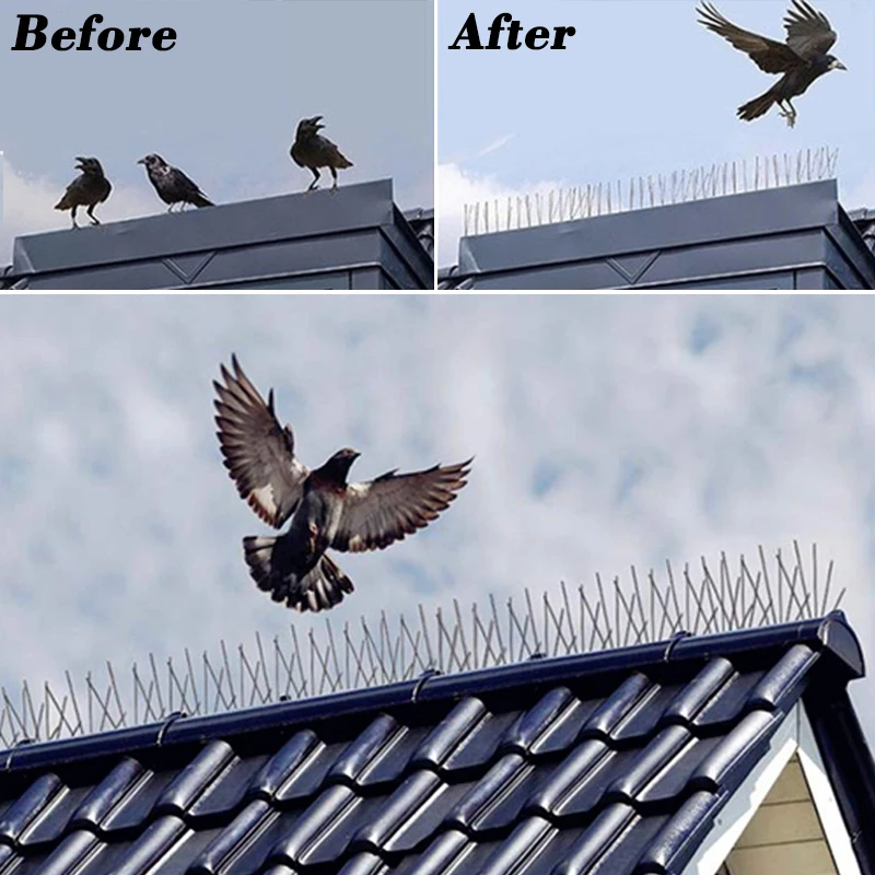 

Bird Pigeon Repeller Eaves Roof Anti Bird Stainless Steel Spike Strip Balcony Orchard Deterrent Spikes Bird Scarer Repeller