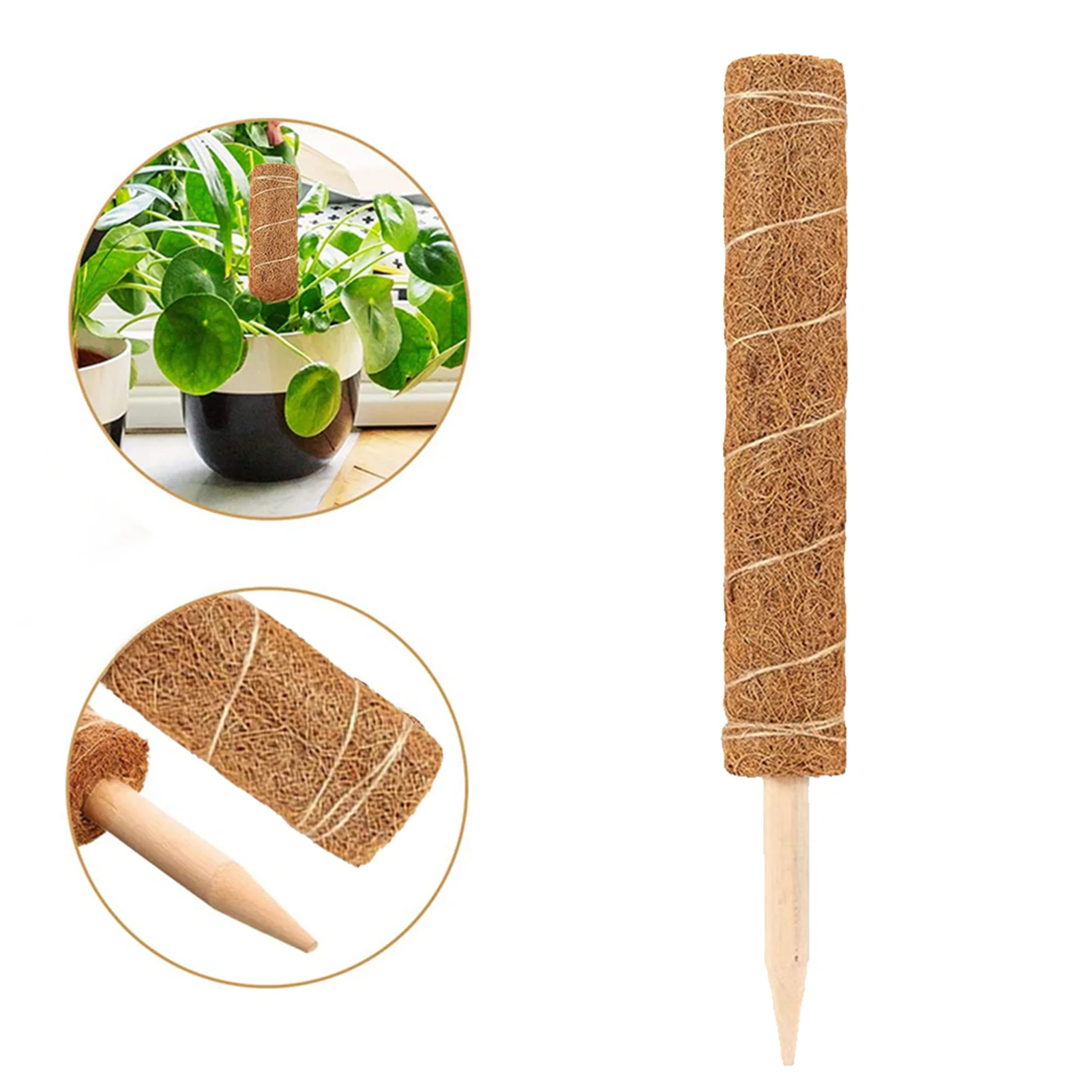 

Coir Moss Pole Garden Coir Moss Stake For Plant Support Extension Indoor Climbing Plants Creepers Garden Pots & Planters