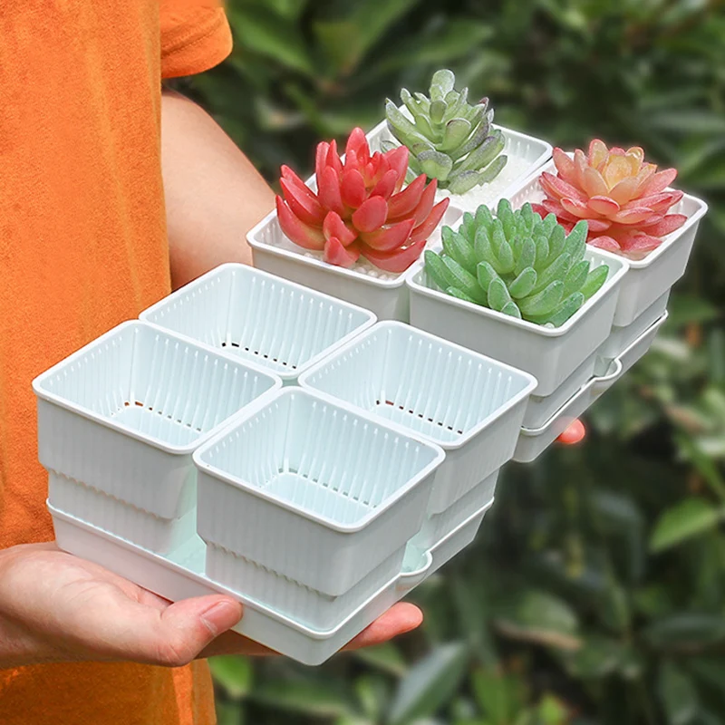 Цветок горшочки для суккулентов горшок Пластик цветок ящик комнатных растений