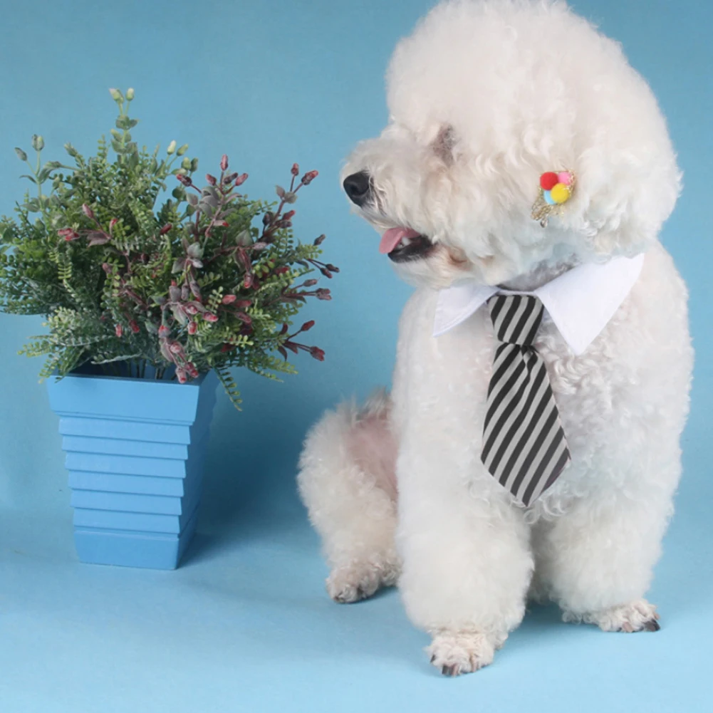 

Cute Puppy Dog Striped Bow Tie Collar Pet Adjustable Neck Tie For Party Wedding White Collar Necktie Dog Supplies