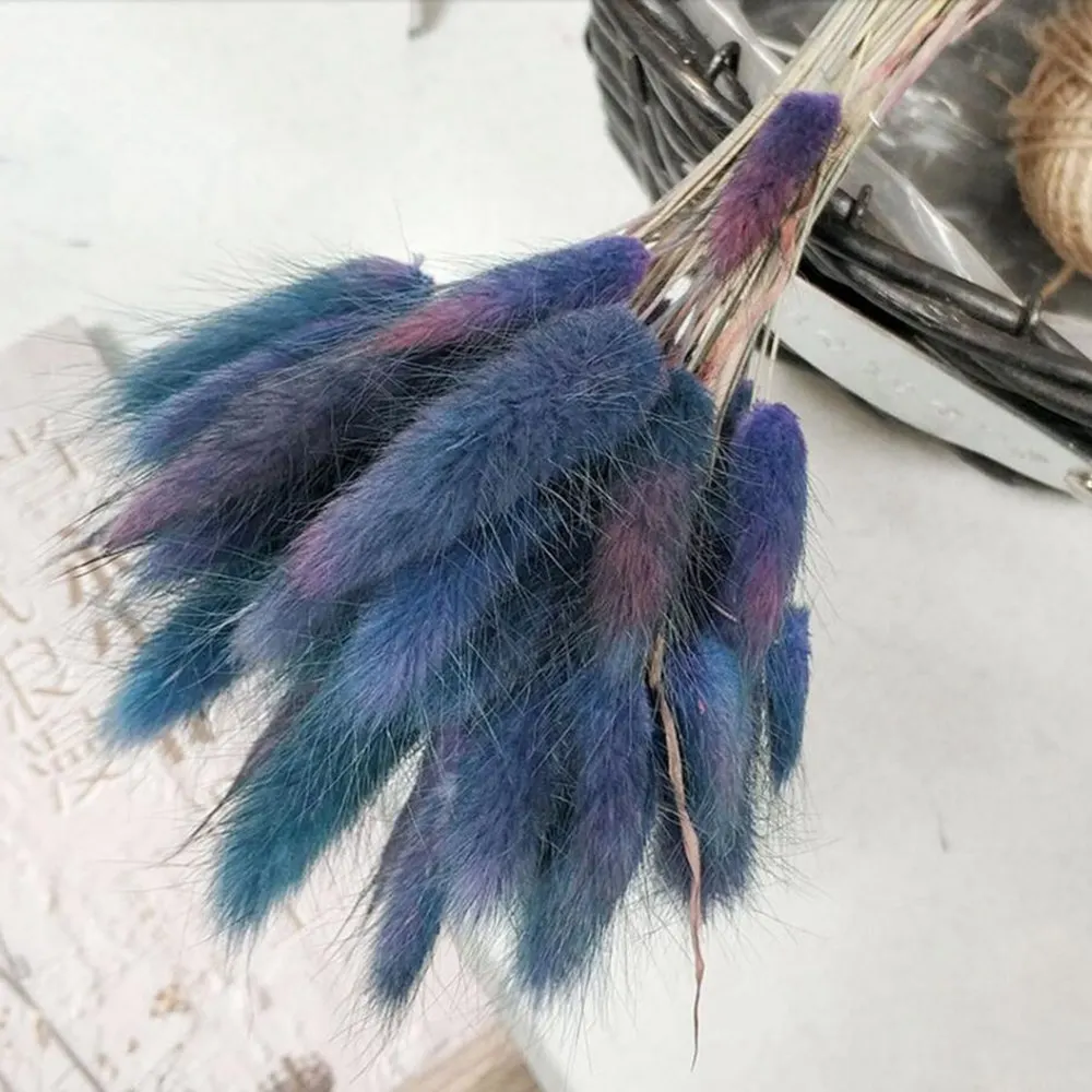 Gradient blue 30 шт./лот, градиентный букет из натуральных сушеных цветов laguurus Ovatus, сделай сам, свадебное украшение для дома, Кролик хвост, трава, настоящие цветы - Цвет: Gradient blue