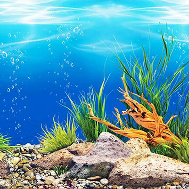 Aquarium background paper HD picture 3d three-dimensional fish tank wallpaper painting double sided aquarium decorati | Дом и сад