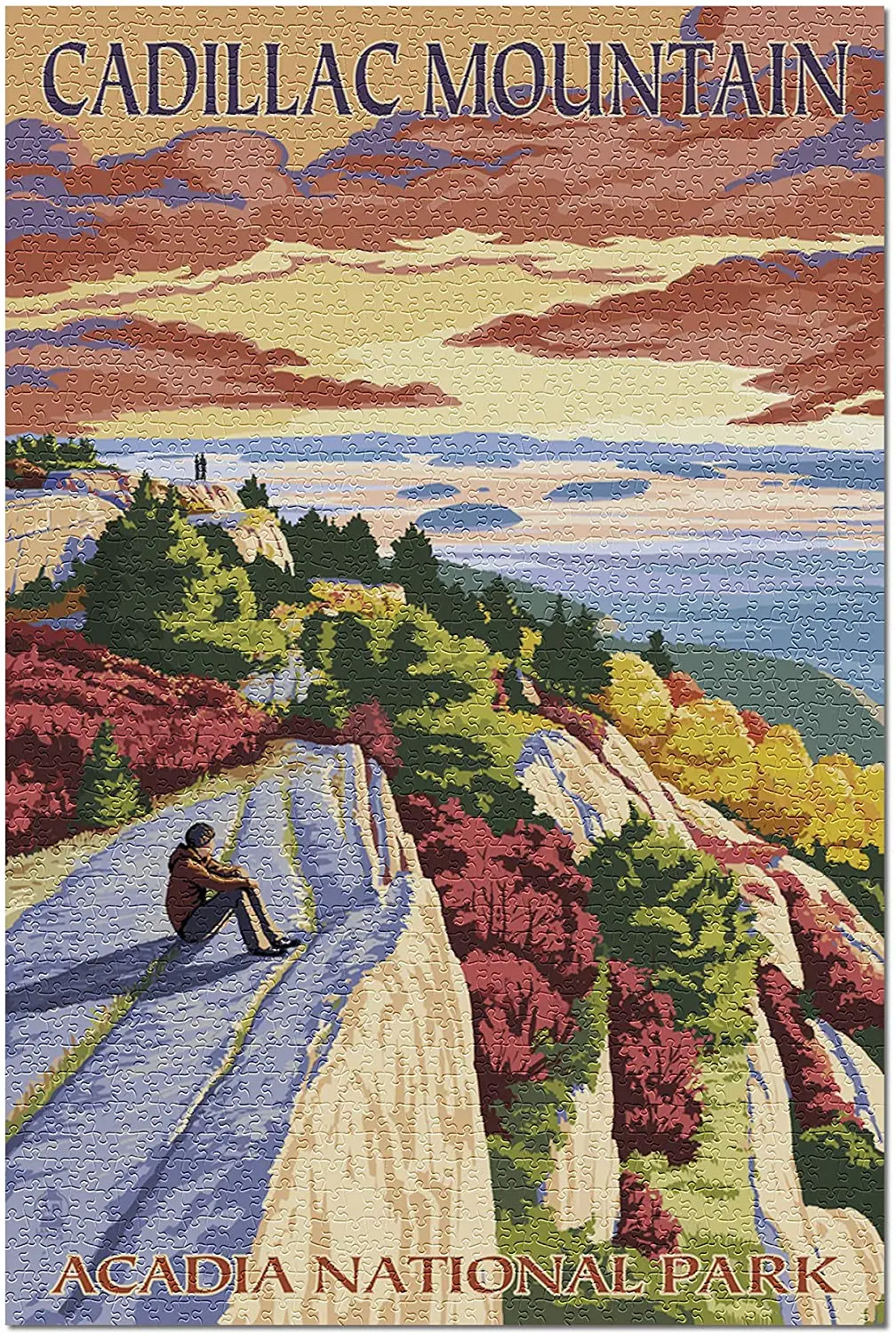

Lantern Press Acadia National Park, Maine Cadillac Mountain 33303 (8*12 Aluminum Wall Sign, Wall Decor Ready to Hang)