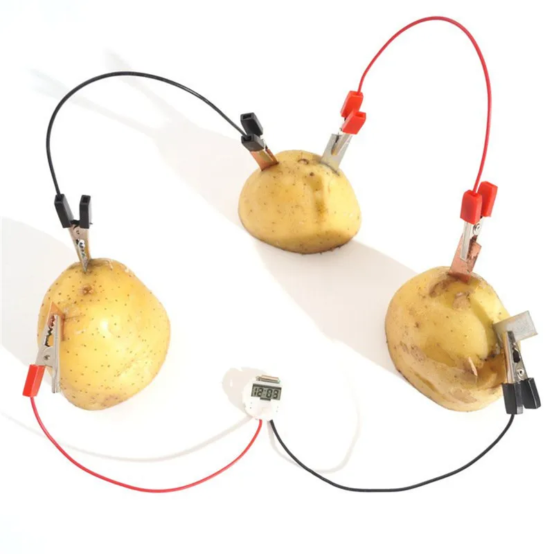 Fruit Battery Science Experiment Kit with Electronic Clock for DIY Home Teaching Toy School Project Education Subject | Игрушки и хобби