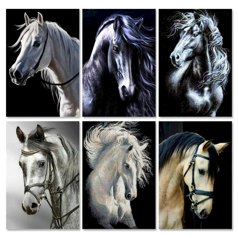 

GATYZTORY DIY Coloring By Number Horse Handpainted Modern Wall Art Oil Painting By Numbers On Canvas Acrylic Animal Unique Gifts