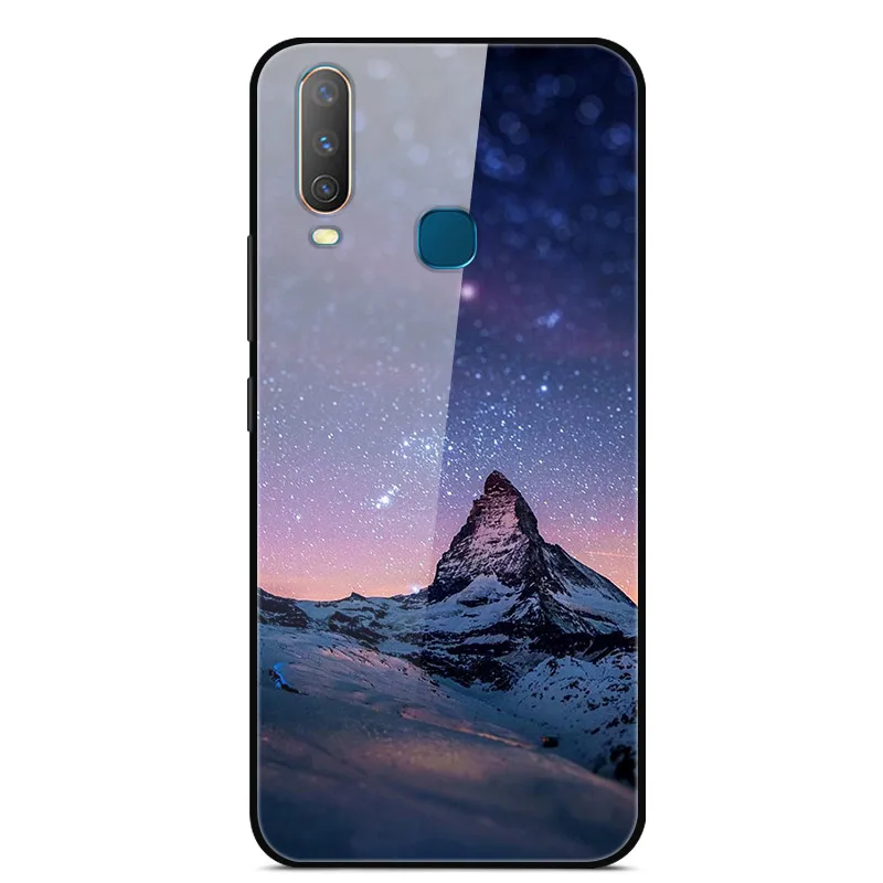 as photo 46 Чехол из закаленного стекла для Vivo Y17, чехол, жесткая задняя крышка для Vivo Y15, чехол для Vivo Y12, чехол из ТПУ, бампер для Vivo Y3, чехол, Funda - Цвет: as photo 46