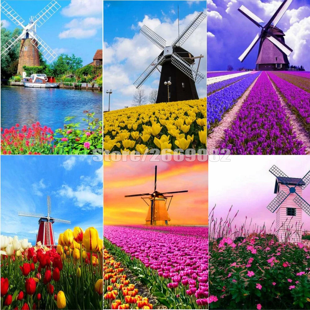 

Алмазная картина 5D "сделай сам", цветочный пейзаж, украшение для дома, вышивка, наборы для рукоделия, рождественские подарки TT1648