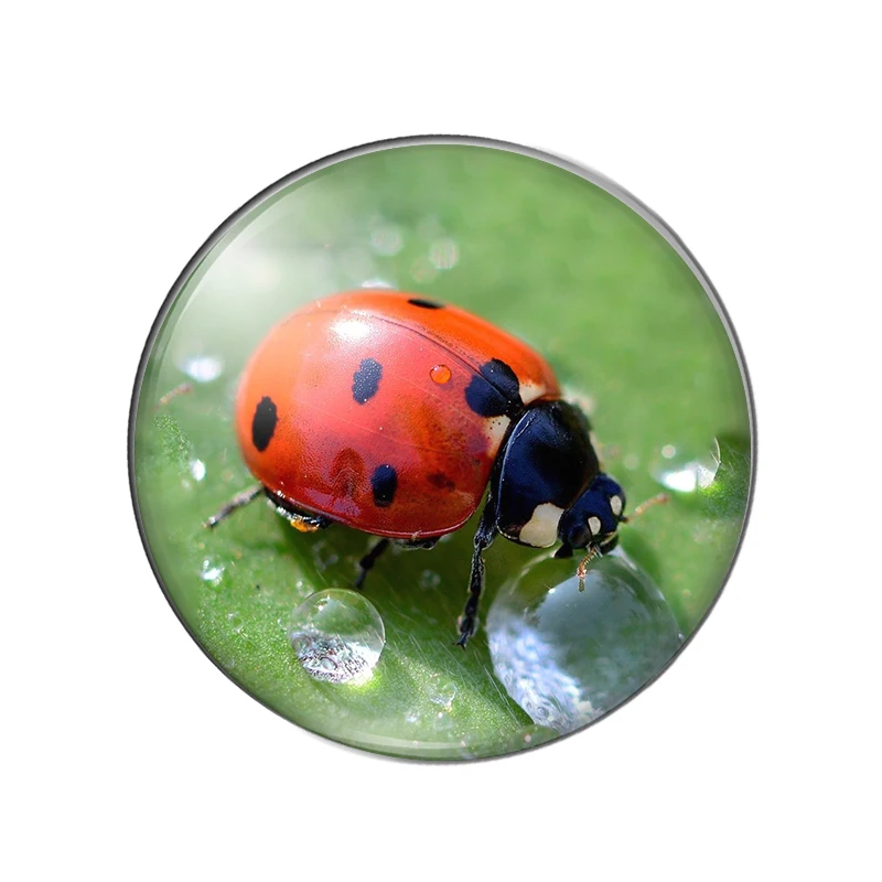 Новинка Божья коровка в виде насекомых обратно природу 10 мм/12 мм/18 мм/20 мм/25 мм
