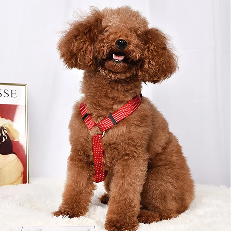 Новинка хит светоотражающий Регулируемый жилет для щенка без тяги поводок из