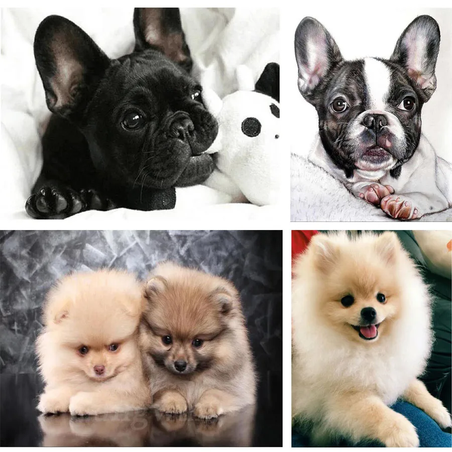 

5D алмазная живопись для домашних животных, картина с изображением собаки, французского бульдога, померанского щенка, полный квадратный Наб...