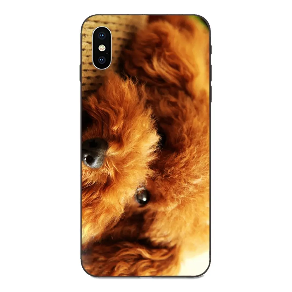 Soft Case Protective For Galaxy A10S A20S A2 Core A30S A40S A50S A70S A90 5G M10 M30S M40 Note 10 Plus Gold Pet Dog | Мобильные