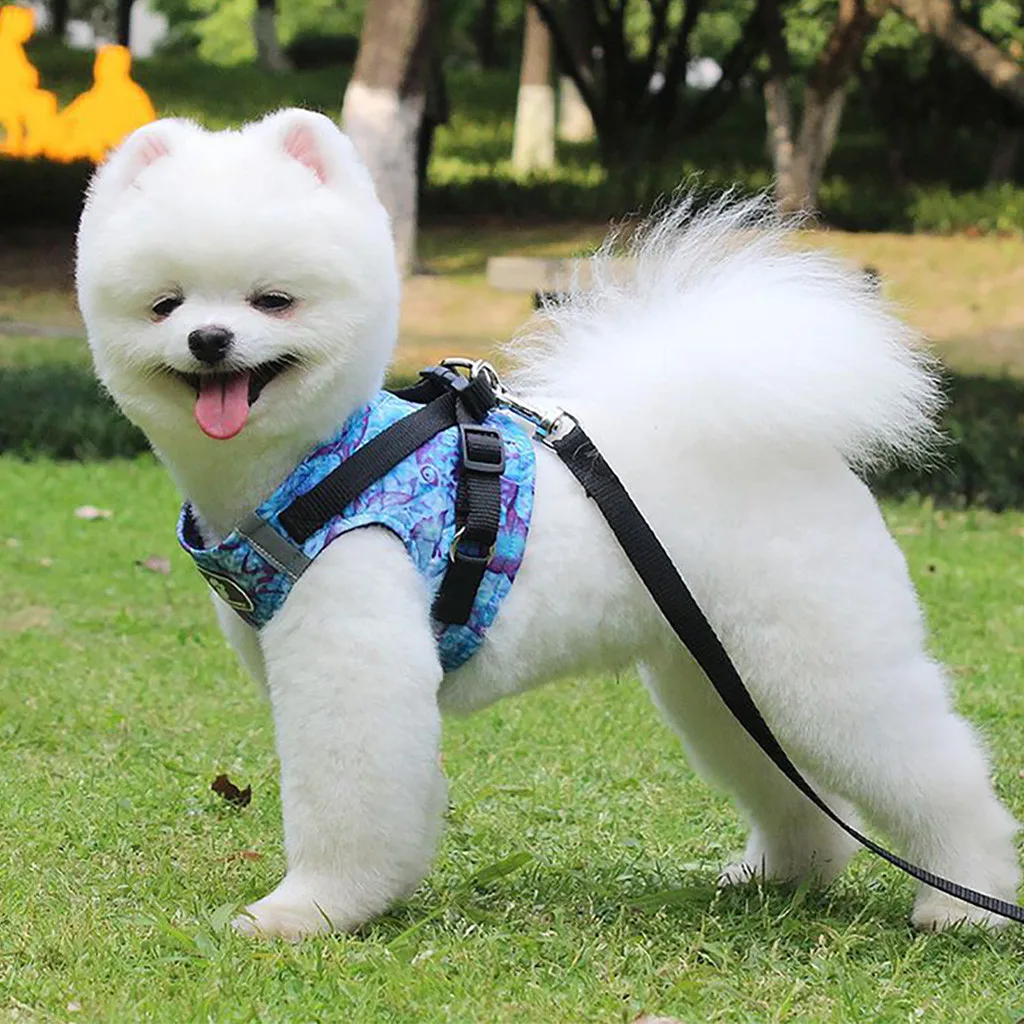 Поводок для собак не Тянет домашних животных регулируемый жилет на открытом