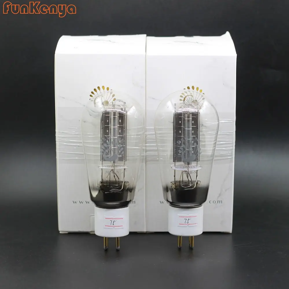 Усилитель звука Psvane Tube 300B-N