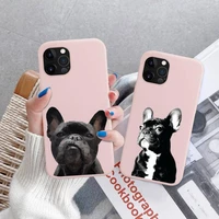 pug dog french bulldog phone case soft solid color for iphone 11 12 13 mini pro xs max 8 7 6 6s plus x xr