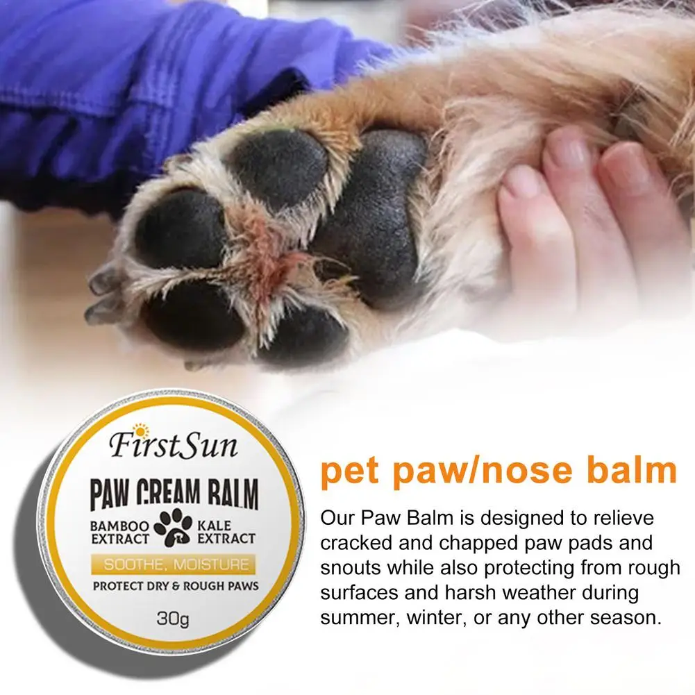 Do Dogs Paws Heal Fast