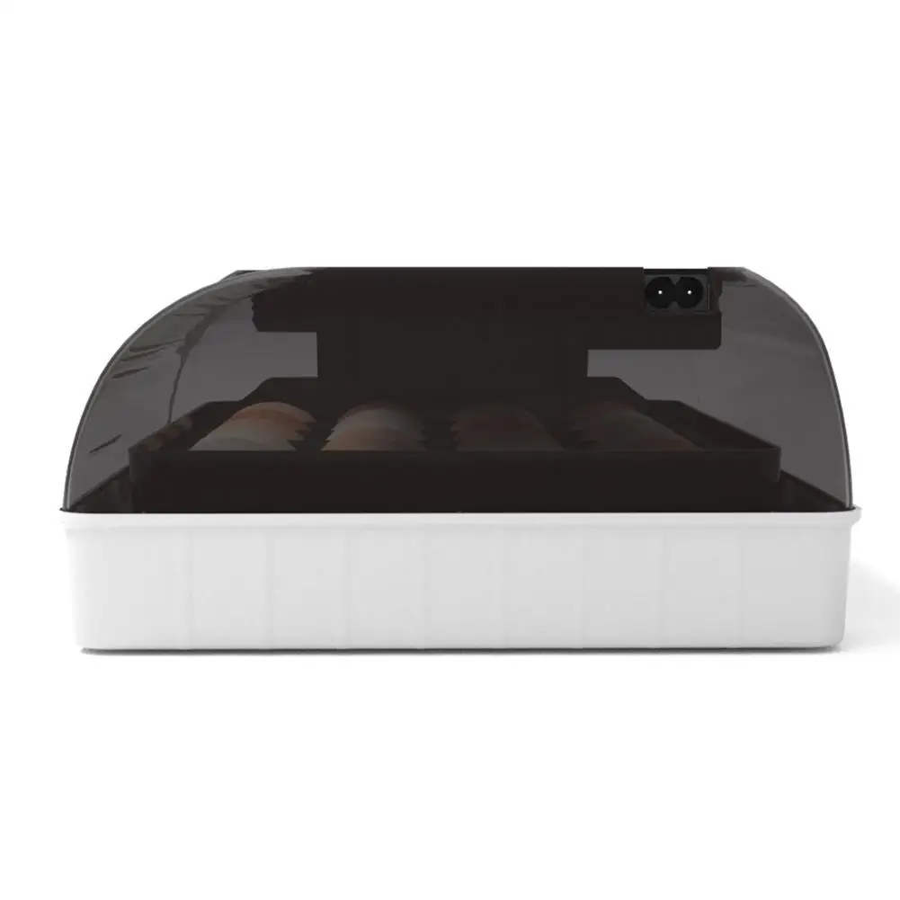 Автоматический инкубатор | Дом и сад