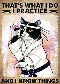 

LINQWkk жестяной знак, что я делаю-я тренируюсь и знаю вещи, плакат, принт с черной кошкой, подарок на карате, плакат с японской кошкой, Япония