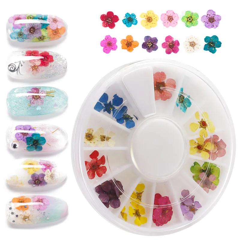 

Nail Art Deco Dried Flower 12 Colors three-dimensional natural small dried flower Nail Decoration Disc Small Dried Flowers