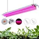 Светодиодный Grow Lights 500W полный спектр растущий светодиодный светильник освещения 50 см двойная трубка завод Люстра для гидропоники комнатные растения