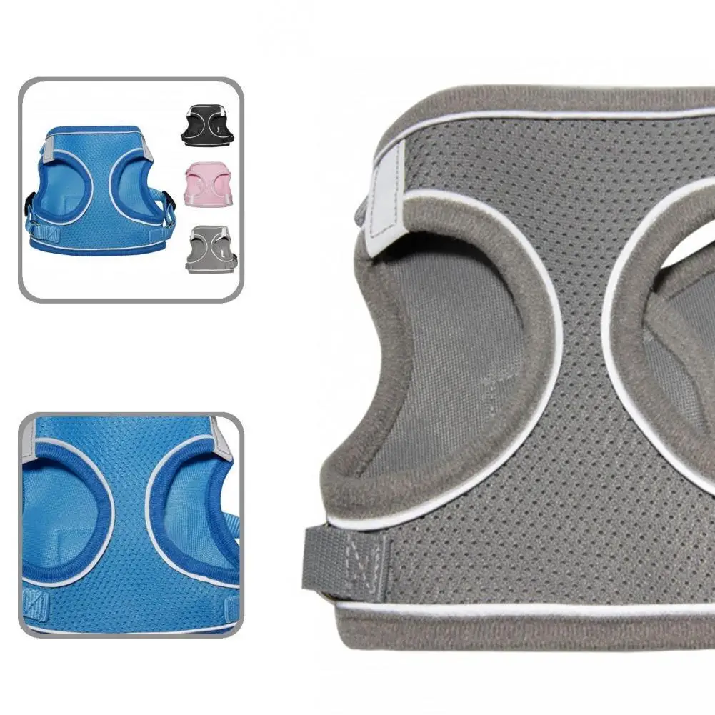 

1Set Pretty Pet Dogs Cats Harness Traction Rope Set Lightweight Pet Traction Rope Kit Anti-lost for Pet Training