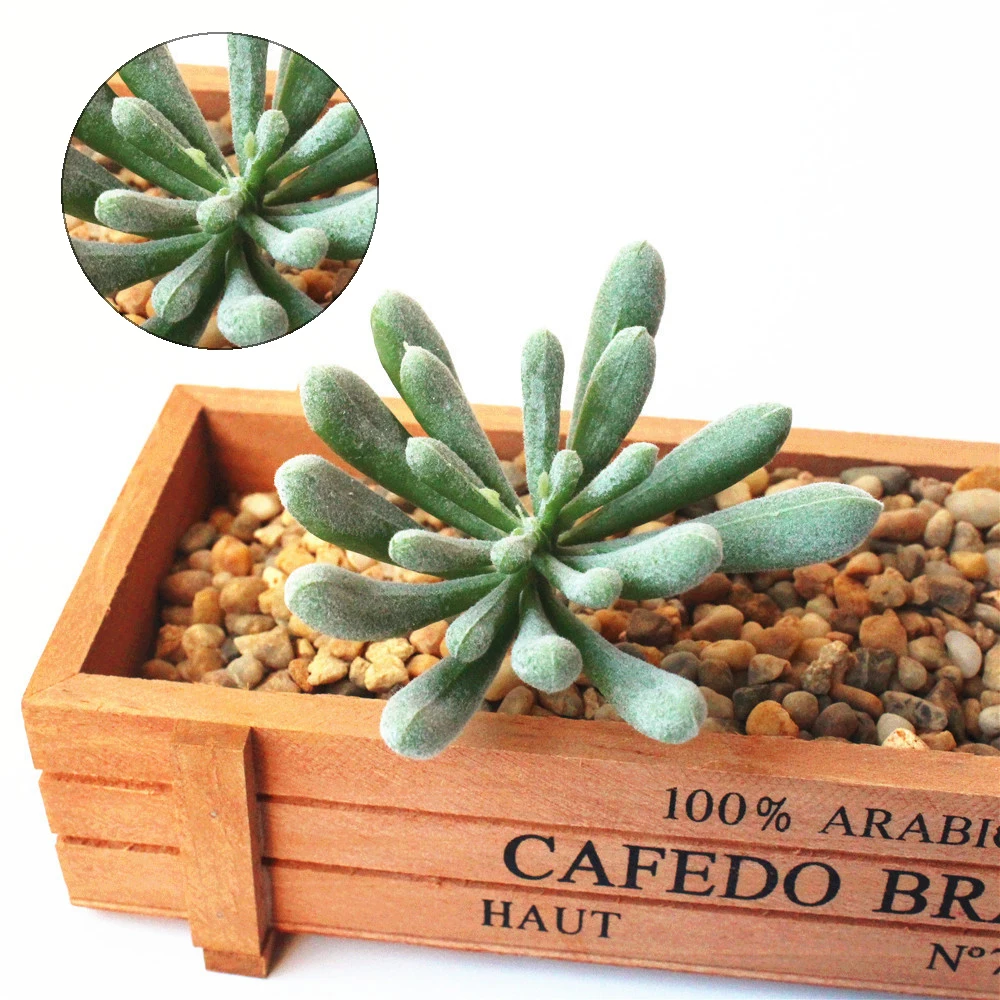 Искусственные мясистые растения Цветочные Мини листва садовый декор