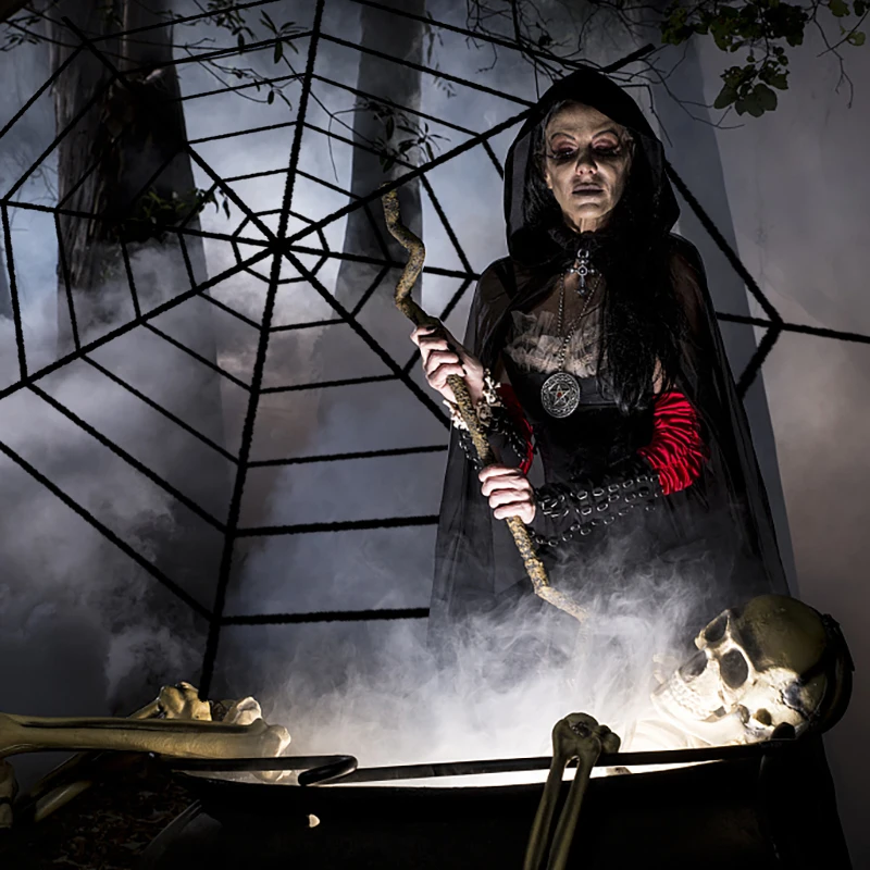 

Halloween Cobweb Black/White Creepy Terror New Spider Web Halloween Outdoor or Indoor Party Bar Haunted House Decoration