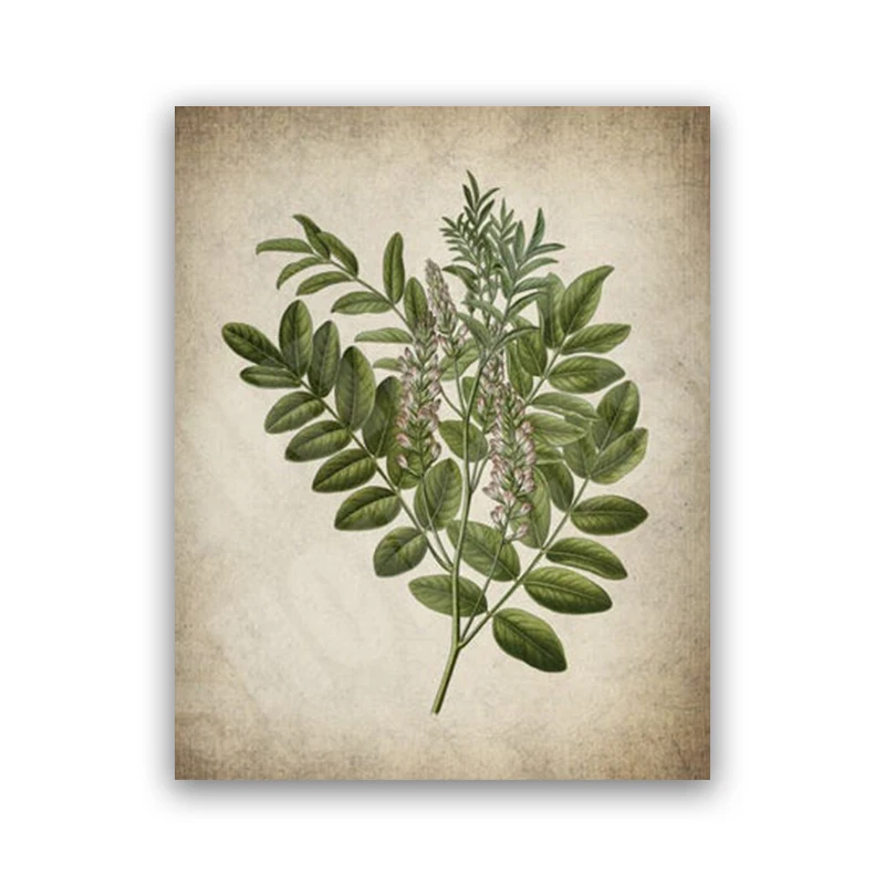 

Винтажный зеленый лист, ботанический постер, принт на холсте, кухонные настенные художественные фотографии, ретро живопись, растительные постеры, домашний декор для гостиной