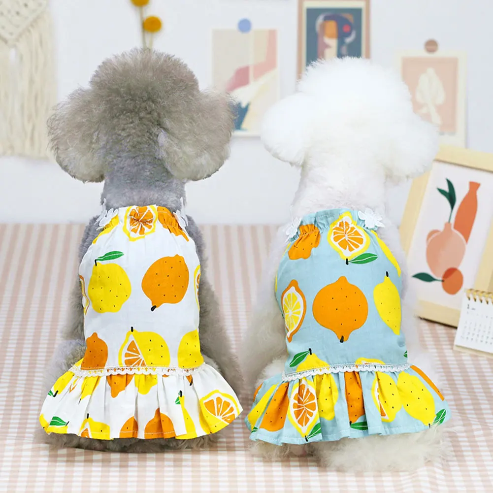 

Summer Dress Dog Lace Tullle Dress For Dog Pets Dog Clothes Chihuahua Wedding Dress Skirt Puppy Clothing Dogs Jean Pet Clothes