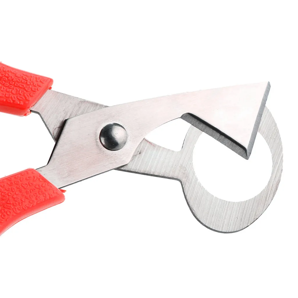 Egg Pigeon Quail Scissors Cracker Opener Cigar Cutter Stainless Steel Tool Housewife Clipper Accessories Gadgets Кухонные | Дом и сад