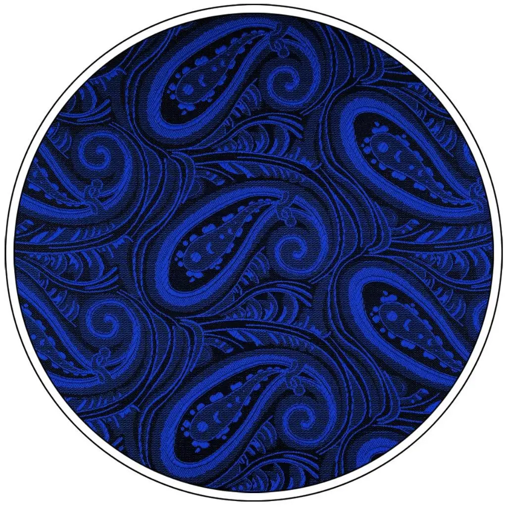 Синий Пейсли мужской галстук комплект шелковое модное дизайнерское платье