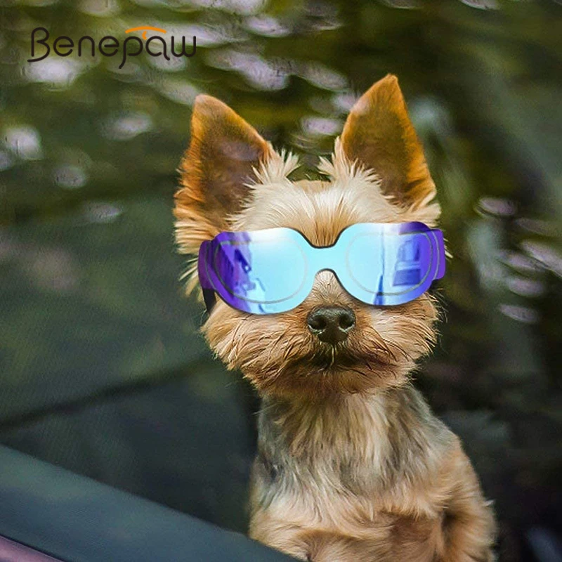 

Солнцезащитные очки для маленьких собак Benepaw, ветрозащитные, пылезащитные очки с регулируемым ремешком для защиты от ультрафиолета, очки дл...